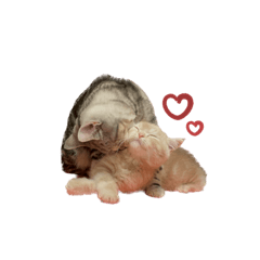 arisa_20230103022106