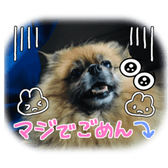 hana_20230102202653