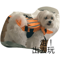 咚咚咚咚咚咚咚咚咚咚