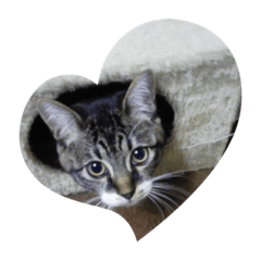 yukari_20230103122251