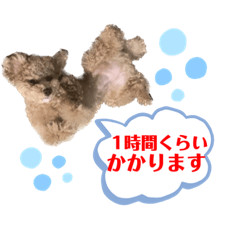 yuka_20230103131155