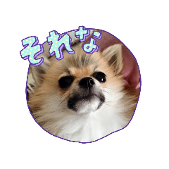 hana_20230103131704