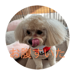 Hana_20230103131702
