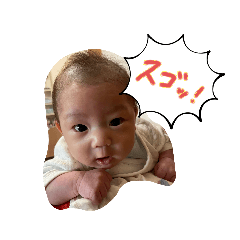 minorin_20230103000902