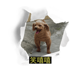 是光光