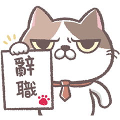 Dai pi cat-Daily life of office workers