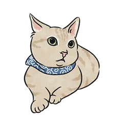 hanchi cat - cream ginger cat sticker