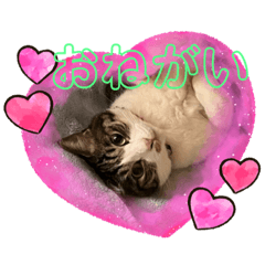 Cat Melon's stickers vol.1