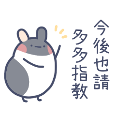 cute guinea pig Popi-Happy New Year
