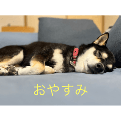 yuto_20230103151343