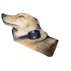 So_20230103191928