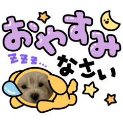tom_20230103215924