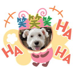 CELOTEH_20230103205030