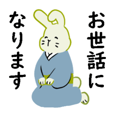The polite Japanese rabbit