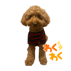 RinRin_20230103223230