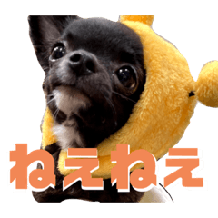 Unisuke_20230103233504