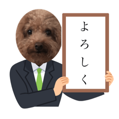so_20230104002221