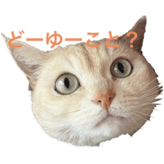 Yukari_20230103222714