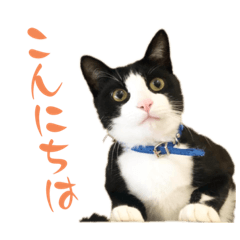 smile_20230104032853