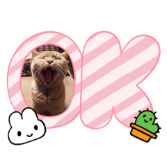 銀ちゃんトラちゃんスタンプ