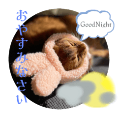 alice_20230103193748