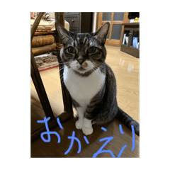 yukari_20230103223537