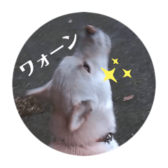 kaede_20230103201840