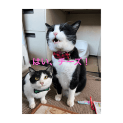 tommy_20230103195102