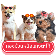 WOOFME WITH TONGMUAN.MOHKRANG.TACO