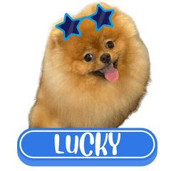 WOOFME WITH LUCKY