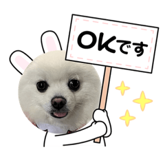 yuka_20230103203720