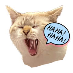 NATSUMI_20230104143659