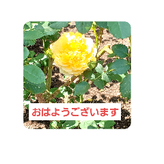 Tom_20230104150208