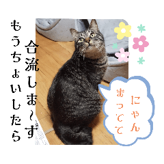 maru_20230104154059
