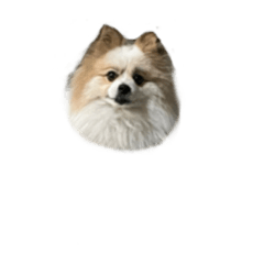 Q表情貼 想不到吧？