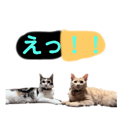 msk_20230104184313