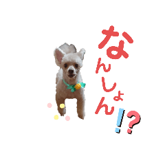 ウチのレン ～okayama～