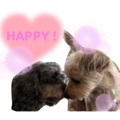 Smile_20230104183800