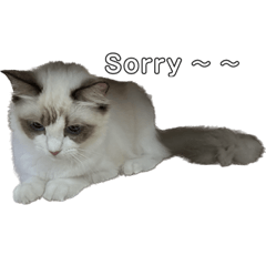 六六仙女的日常2