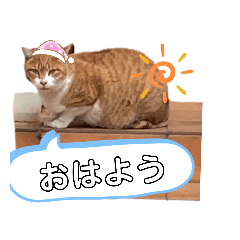 nekosan_20230104191300