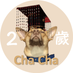 Cha Cha 2 years old