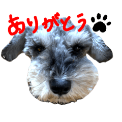 yukari_20230105001536