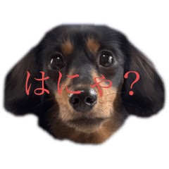 hana_20230104223015