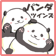 Pocchari panda twins