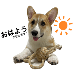 HIKARI_20230105134534