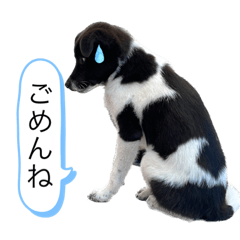 yupu_20230105141711
