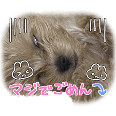 chan_20230105145937