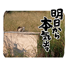 yuto_20230105172323