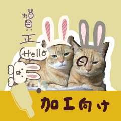 -saihan-Sticker for decoration ! 6-nenga