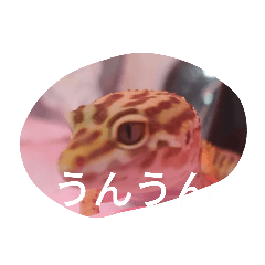 hana_20230105211237